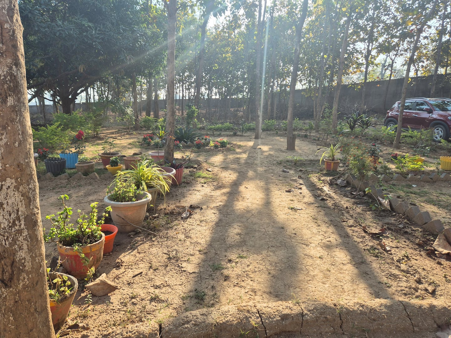 Garden with potted plants